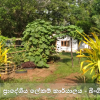 කාර්යාලයීය ගෙවත්ත